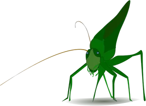 Green Grasshopper Illustration PNG image