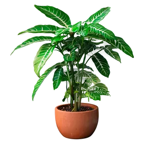 Green Hanging Plant PNG 05252024