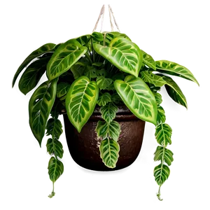 Green Hanging Plant PNG 05252024