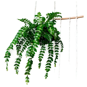 Green Hanging Plant Png Anc63 PNG image