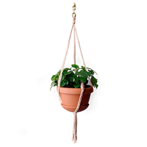 Green Hanging Plant Png Jqm45 PNG image