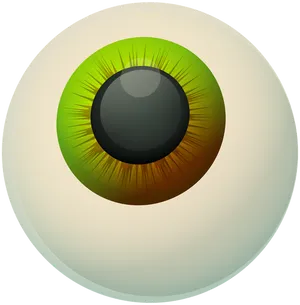 Green Hazel Eyeball Illustration PNG image