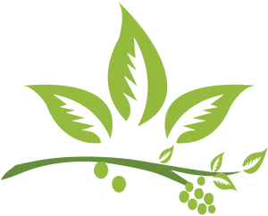 Green Herbal Logo Design PNG image