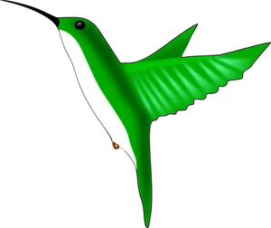 Green Hummingbird Illustration PNG image