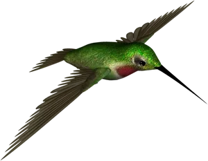 Green Hummingbird In Flight.png PNG image