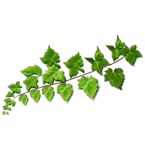 Green Ivy Vine Branch PNG image