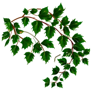Green Ivy Vine Branches PNG image