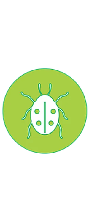 Green Ladybug Icon PNG image