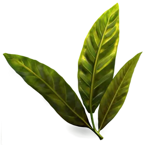 Green Laurel Leaves Png 06262024 PNG image