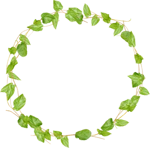Green Leaf Circular Border Design.png PNG image