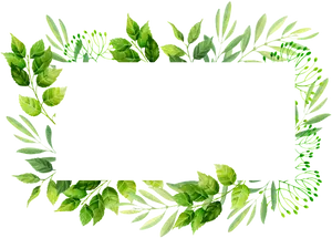 Green Leaf Decorative Frame PNG image