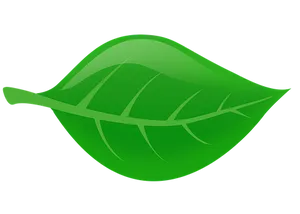 Green Leaf Graphic Illustration PNG image