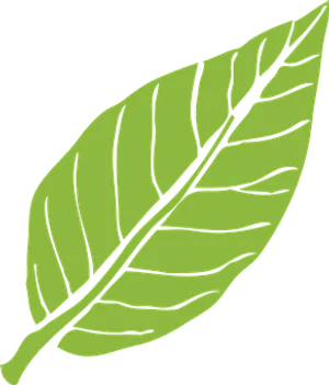 Green Leaf Graphic