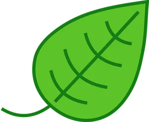 Green Leaf Graphic