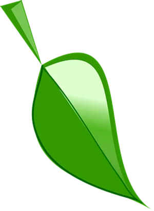 Green Leaf Graphic