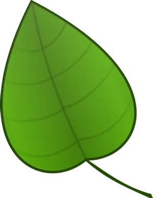 Green Leaf Graphic