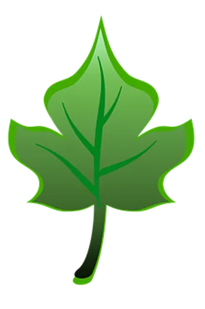 Green Leaf Graphic