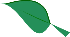 Green Leaf Graphicon Black Background PNG image