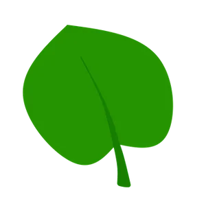 Green Leaf Graphicon Black Background PNG image