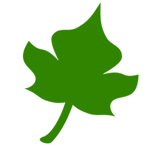 Green Leaf Icon