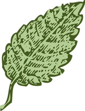 Green Leaf Illustration