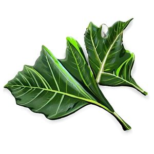Green Leaf PNG 05032024