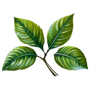 Green Leaf PNG Chq90