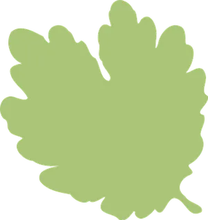 Green Leaf Silhouette Graphic PNG image