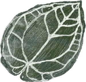 Green Leaf Texture Illustration PNG