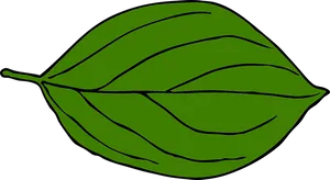 Green Leaf Vector Art