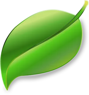 Green Leaf Vector Illustration PNG