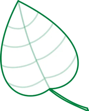 Green Leaf Vector Illustration