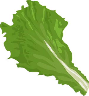 Green Leaf Vector Illustration PNG image