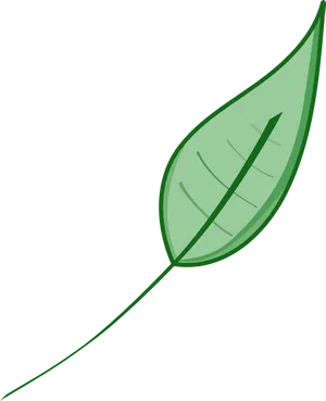 Green Leaf Vector Illustration PNG