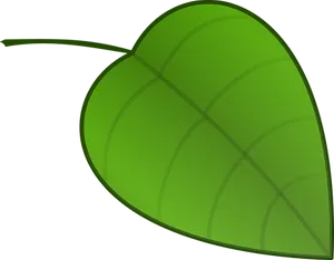Green Leaf Vector Illustration