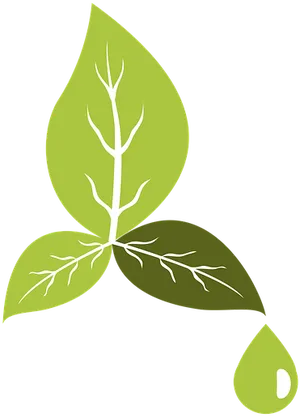 Green Leaf Veins Vector PNG image