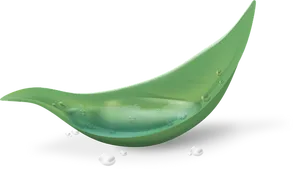 Green Leafwith Water Droplets.jpg