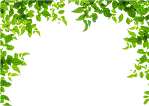 Green Leafy Frame Background PNG image