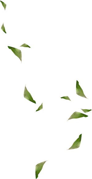 Green Leaves Against Black Background PNG image