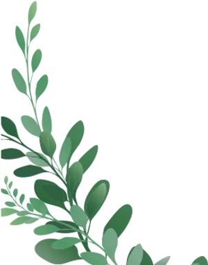 Green Leaves Against Blue Background PNG image