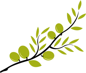 Green_ Leaves_and_ Olives_ Clipart PNG image