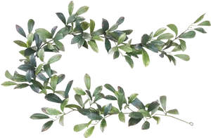 Green Leaves Black Background PNG