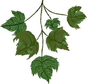 Green Leaves Dark Background