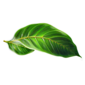 Green Leaves Png Dcn1 PNG image