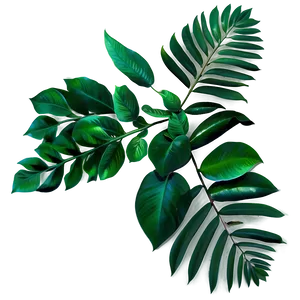 Green Leaves Png Yvi PNG image