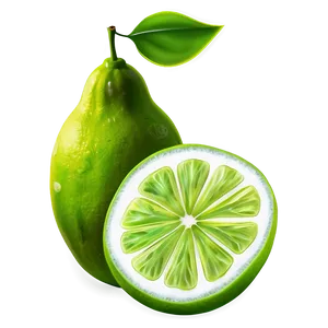 Green Lime Slice Png 06132024 PNG image