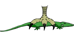 Green Lizard Dual Representation PNG image