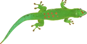 Green Lizard Red Spots PNG image