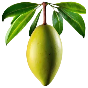 Green Mango Png 05232024 PNG image