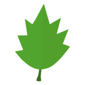 Green Maple Leaf Black Background